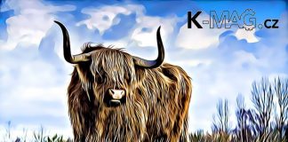 bull-62-tisic-dolaru