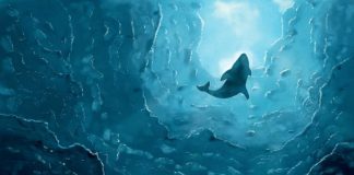 the-whale