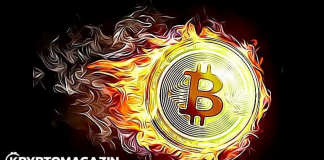 bitcoin ohen horin on fire kmag