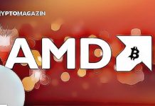 amd litecoin bitcoin