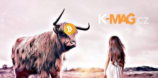 Bitcoin BTC up bull