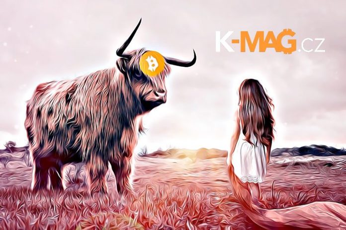 Bitcoin BTC up bull