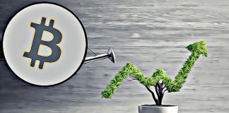 bitcoin-up-rust