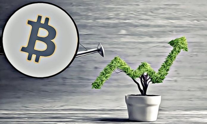 bitcoin-up-rust
