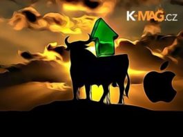 bull