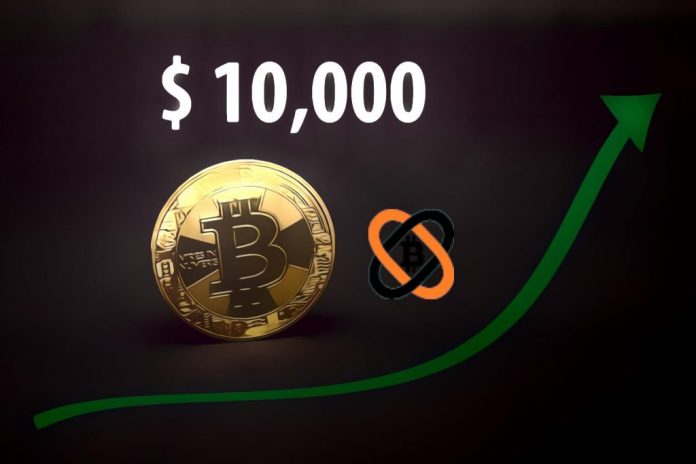10000 btc bitcoin 10000 btc