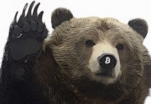 PŘEHLED TRHU – Bitcoin za 8900 $ – retracement nebo konec downtrendu? + ANKETY bitcoin bear market
