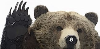 bitcoin bear market