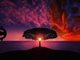 BTC, Bitcoin, sun, slunce, coinmagazin