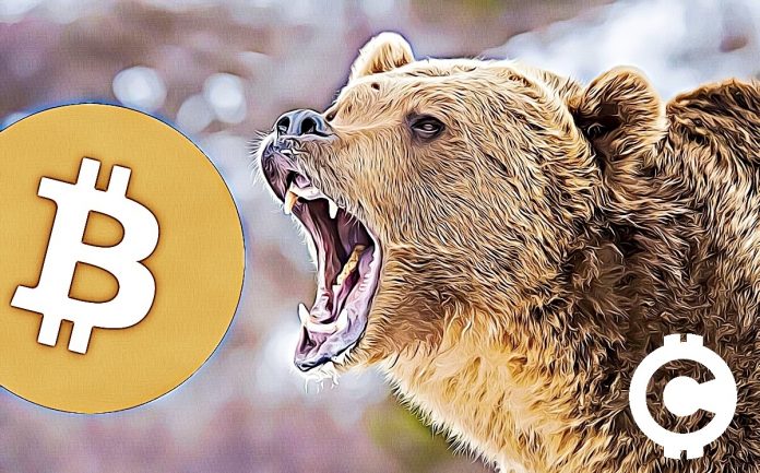 bear medved bitcoin propad