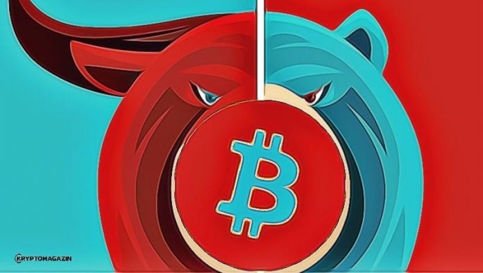 bull-bear-bitcoin bull-bear-bitcoin