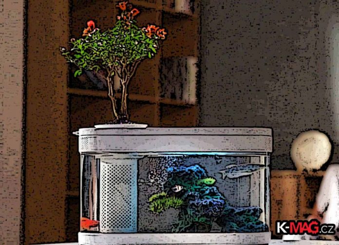 xiaomi_titulka_aquarium_gadget_km_ok-1068x772 xiaomi