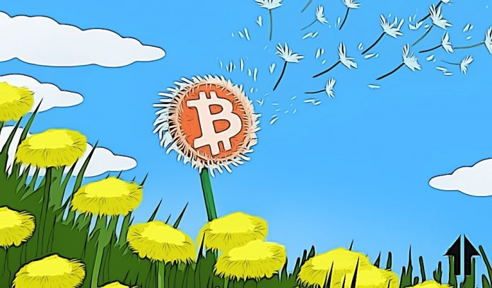 Bitcoin začíná skvělý druhý kvartál - Dlouhodobý vývoj ukazuje bullish trend!