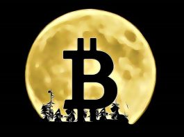 bitcoin moon obchodovani trading predikce