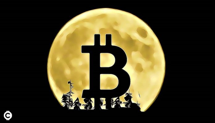 bitcoin moon obchodovani trading predikce
