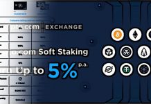Má Crypto.com perspektivní budoucnost?