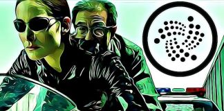 iota foundation trinity wallet