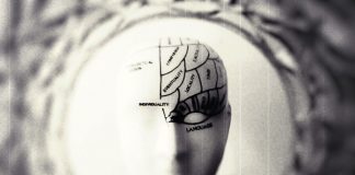 psychologie hlava