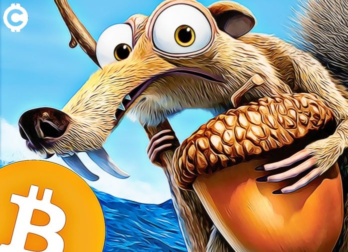 bitcoin hodl veverka doba ledová bitcoin hodl veverka doba ledová