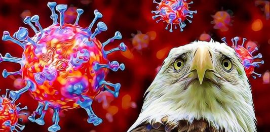 usa sad problem koronavirus šíření