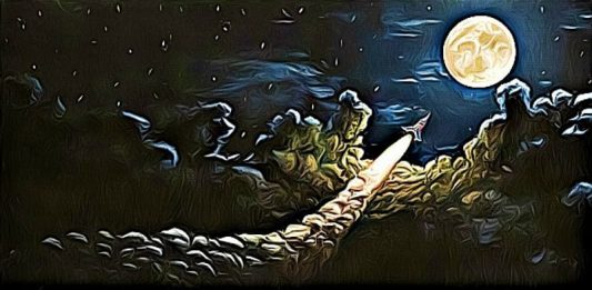 bitcoin to the moon raketa halving