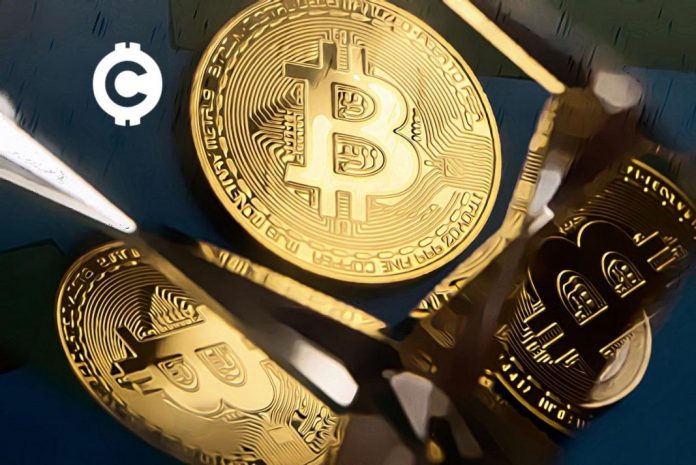 Bitcoin za 1 milion dolarů? Toto jsou důvody, proč to může být reálné