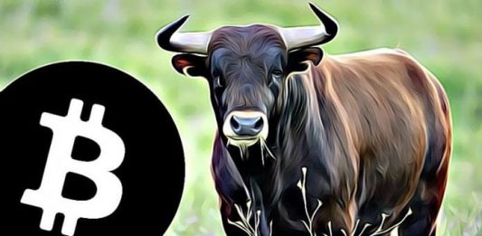 Zažíváme nejlepší možný scénář pro Bitcoin a halving! Bude to ale stačit?