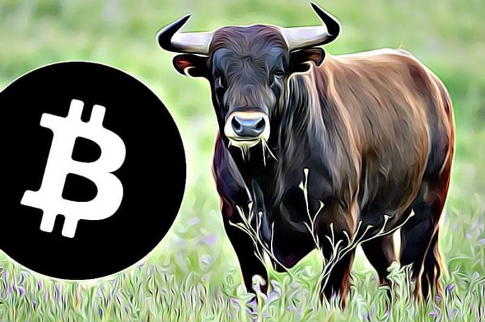 Bitcoin vytvořil neuvěřitelně bullish formaci! Je to příprava na nové ATH? + ANKETA