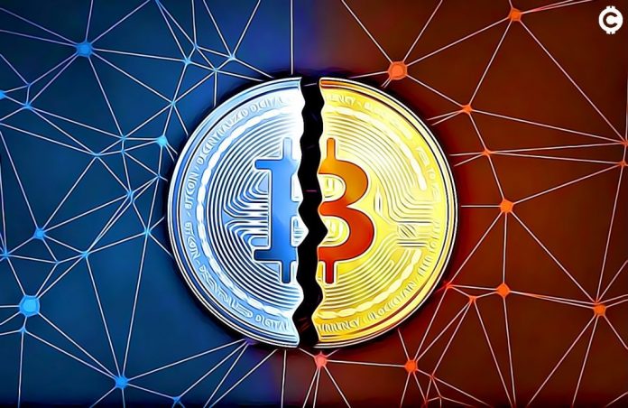 Bitcoin halving - Vše, co o něm potřebujete vědět - Co to je a jak na něm vydělat?