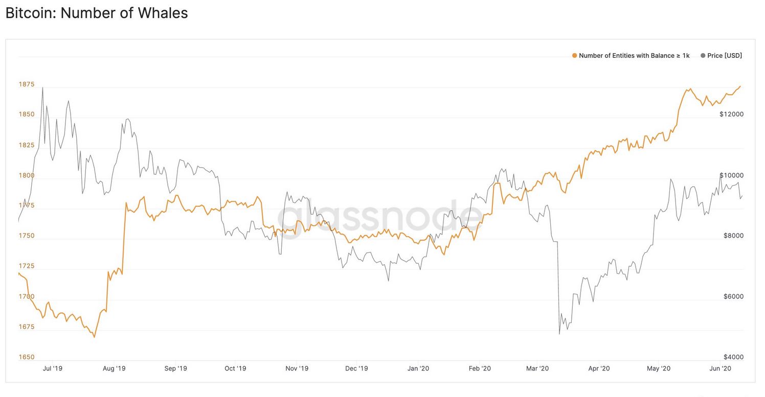whales btc