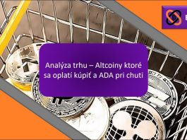 Analýza trhu - Altcoiny, které se vyplatí koupit, a ADA při chuti